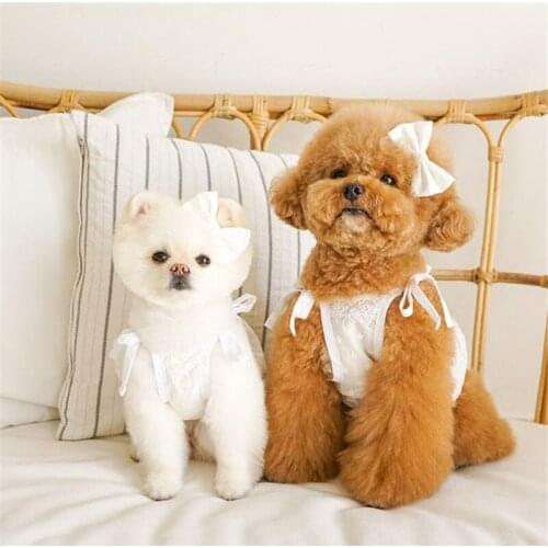 Dog Wedding Dress Short Type Dog Skirt Lace Dresses Cat Yorkshire Terrier Pomeranian Poodle Bichon Puppy Costume