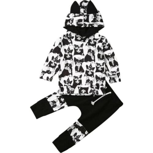 Toddler Boy Clothes Infant Baby Girl Boy Clothes Long Sleeve Cartoon Dog Hooded Tops+Pants 2pcs Outfit