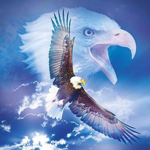 Diamond Painting 5D DIY Flying Eagle Mosaic Set Art Embroidery diamond Sky Bird Full Drill Rhinestone Picture Room Decor Gift