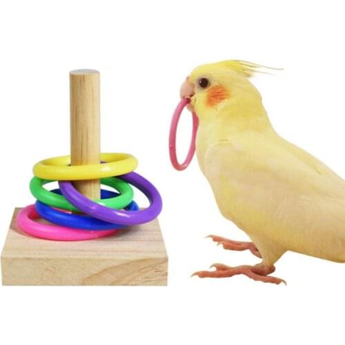 Bird Toys Wooden Platform Plastic Ring Trick Tabletop Toys Educational Intelligence Development Training Parrot Chew Toy