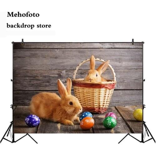 Mehofoto Easter Egg Background Rabbit on Wood Floor Photography Backdrop Newborn Baby Portrait Photo Booth Background Studio 320