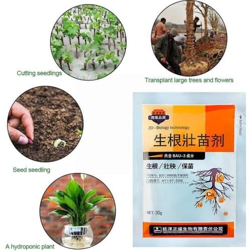 Powerful Rooting Strong Seedling Agent Compound Fertilizer Quick Quick Plant Cutting Succulent Powder Rooting Rooting Agent A6Y0