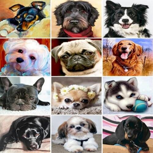 GATYZTORY 60x75cm Frame DIY Painting By Numbers For Adult child Animals dog on canvas Home Decoration Canvas Painting