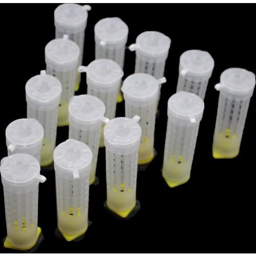 20PCS Beekeeping Bee Plastic Queen Rearing Cage Cup Box Protection Cover Catcher Protective Base Bees Tools Supplies Equipment