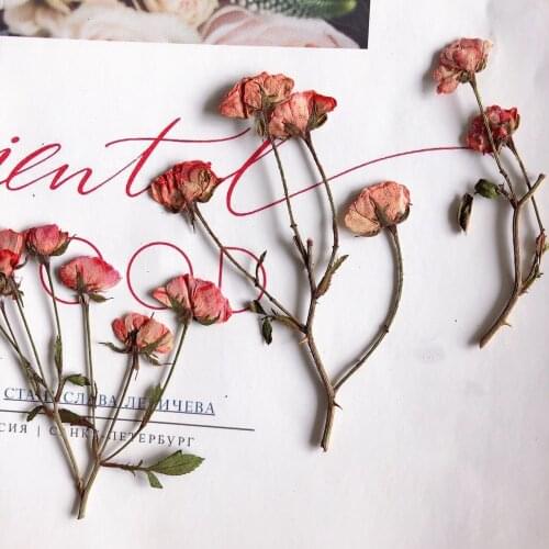 12pcs/4-6cm,Nature Pressed Dried pink Roses Flowers with branches,DIY Wedding invitations Craft Bookmark Cards phone case decor