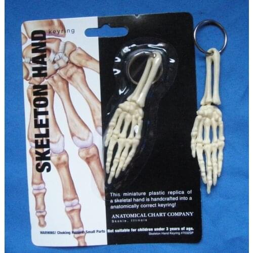 Palm joints Key Chains human model accessories free shipping