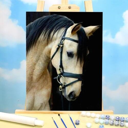 Animal Horse Paint By Numbers Set Oil Paints 50*70 Oil Painting Decorative Paintings Crafts For Adults Handiwork For Wholesale