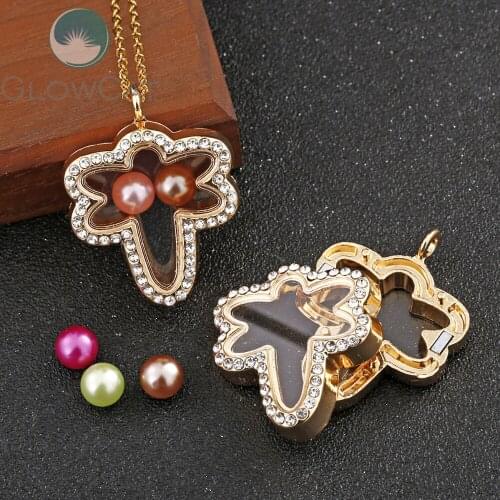 Gold Glass Insects Dragonfly Lockets Necklace Magnetic Living Memory Floating Pendant 50cm Steel Chain Necklace