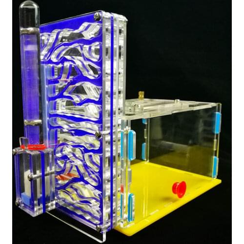 T design DIY with feeding area ant nest ,ant farm acryl, insect ant nests villa pet mania for house ants