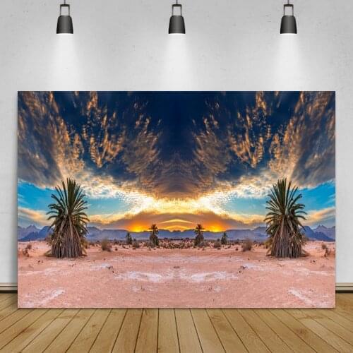Laeacco Desert Natural Scenic Photo Background Shrub Plant Sunset Clouds View Child Outdoor Photographic Backdrop Photo Studio