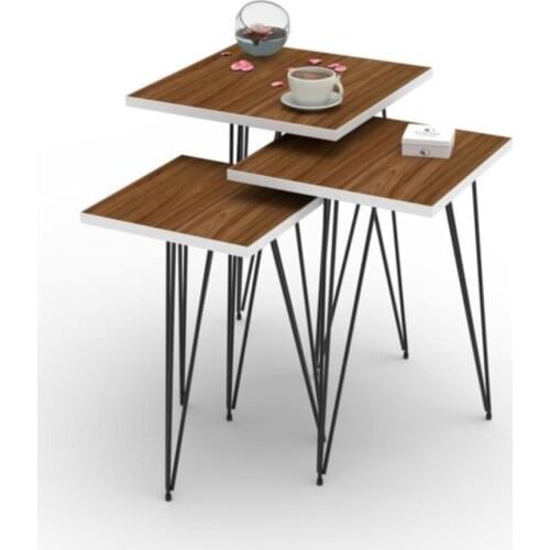 Modern Duck Larose Zigon Coffee table Mdfbyz 1li 40*25*25 coffe table