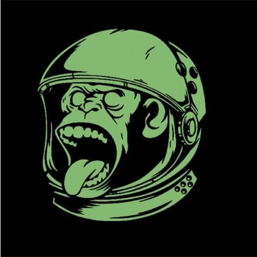 Monkey head Patches for Clothing Luminous Badge Heat transfer printing Noctilucent Patch Clothes DIY Fluorescence Stickers Gifts