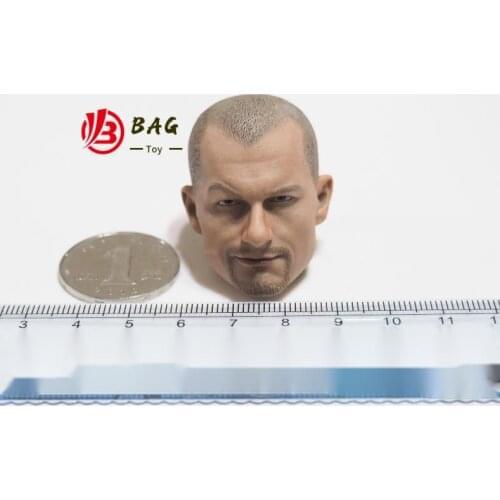 1/6 of the Action Figures Model DAMTOYS DAM78058 Russia 's interior ministry MVD bobcats Russian men head carved in Europe