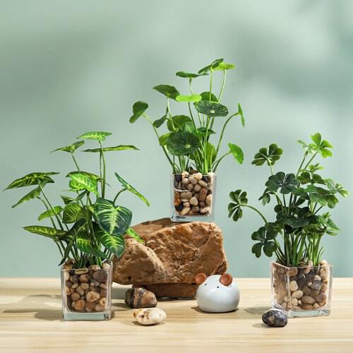 Simulation Potted Plants Bonsai Ornament Natural Plastic Home Grass Green Four Leaf Clover Transparent Vase Plant Potted Decor