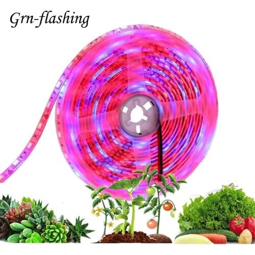 5m grow light LED tape for plants 12V 60LEDs/m SMD 5050 waterproof indoor garden Hydroponics seeding grow tent box phyto Lamp