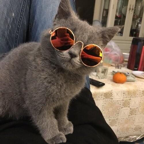 COOLFIELD Clothes For Cats