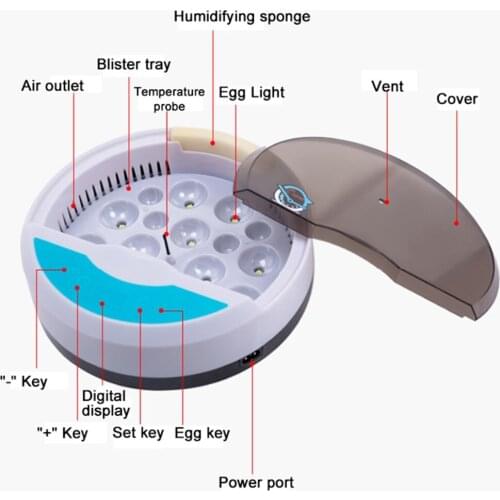 Egg Incubator 9 Eggs for Hatching Turkey Goose Quail Ducks Chicken Eggs, Small Egg Hatcher Machine