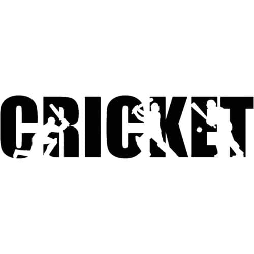 18CM*4.5CM Cricket Player Lettering Sport Wonderful Vinyl Car Decal Sticker Funny Car Rear Windshield Accessories