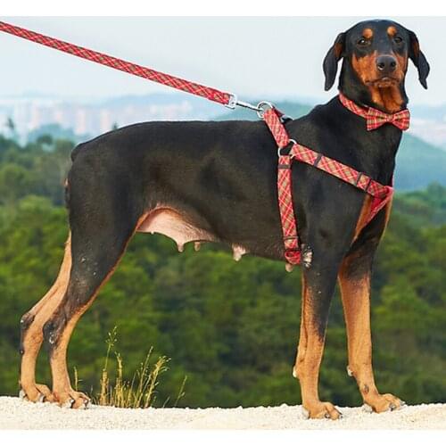 4 Colors Plaid Puppy Big Dog Harness and Collar Walking Pet Collar for Small Dogs Pets Accessories Dog Leash perros productos