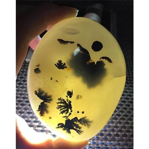 Natural seaweed agate palm stone with stone inside Aquatic plants stones reiki healing crystal