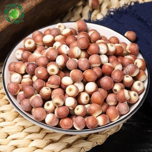 Euryale Ferox,Qian Shi,Gorgon Fruit,Gorg,Thorny Minoru,Minoru Thorns,Ji Tou Mi Gorgon Euryale