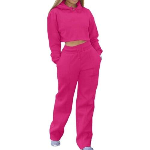 Solid Color Pants Suit Hooded Two-piece Set Wide Legs Drawstring Crop Top Pants Hoodie Suit Casual Hooded Tracksuit for Autumn