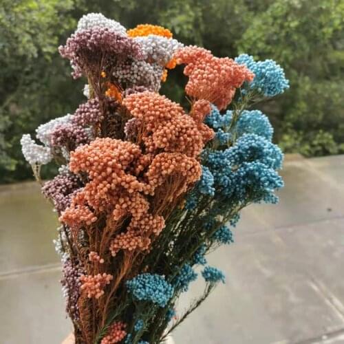 50g/25-40cm,Natural Preserved Mi Flower Bouque,Display Flower for Wedding Party Home Decoration accessories,arrange flowers