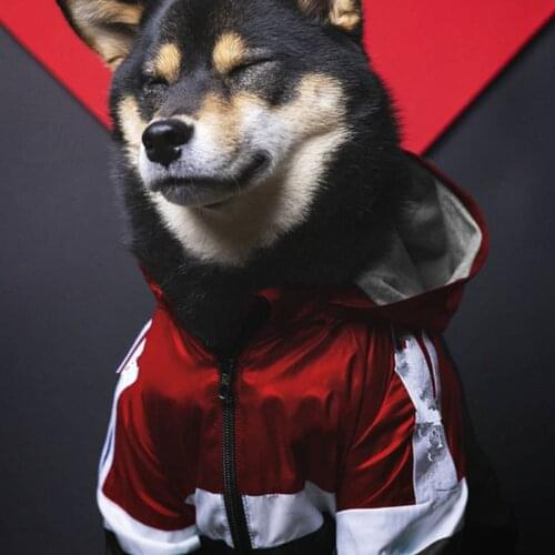 Waterproof Dog Raincoat Jumpsuit For Medium Large Dogs Rain Coat Outdoor Pet Clothes Puppy Doberman Labrador Husky Jacket B1113