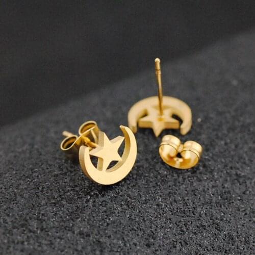 Cute star moon earrings classic stainless steel sweet moon stars ladies earrings girlfriend mom holiday gift party daily