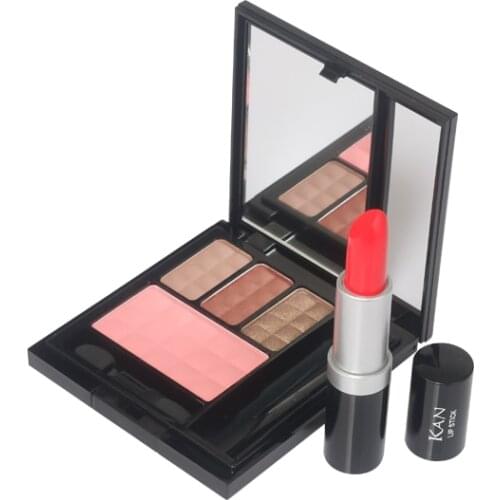 Hot Sales Makeup Set 3 Colors Eye Shadow Blush Lipstick Combination Makeup Kit Cosmetics for Wholesale Retail