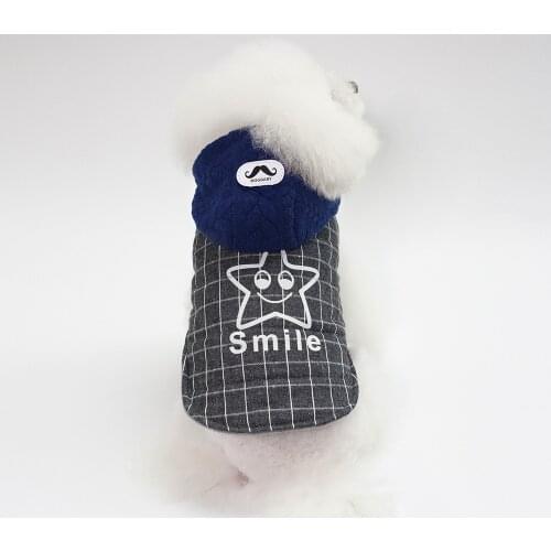 2020 Winter Pet Dog Clothes Cotton Comfortable Soft Two-legged Hoodies For Chihuahua French Bulldog Teddy Coat Puppy Outfit