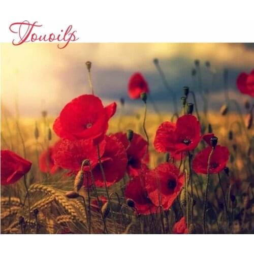 Nouveau 5D bricolage diamant peinture rouge pavot fleurs point de croix kits diamant broderie mosaïque photos par numéros mur dé