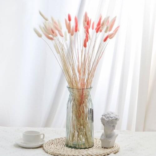 30PCS 50cm Natural Dried Flowers Bunny Tail Grass Bunch Real Flower Rabbit Grass Bouquet Pampas Grass for Home Wedding Decor