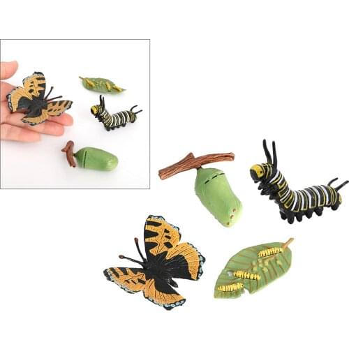 Insect Butterfly Lore Life Cycle - 4 Pcs Insect Figure Shows Life Of Lady Bug