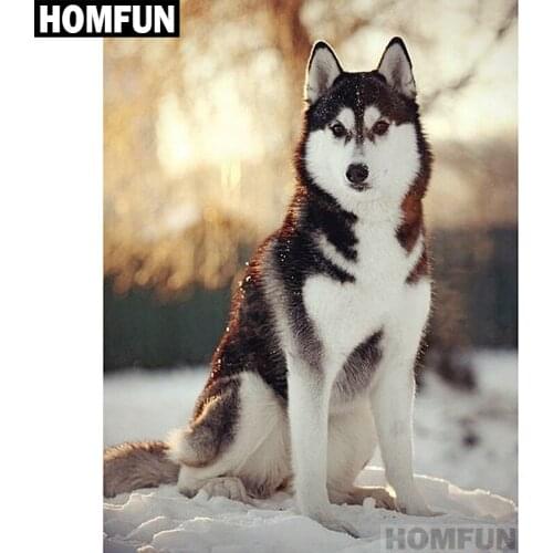 HOMFUN Full Square/Round Drill 5D DIY Diamond Painting "Wolf Dog Snow" Embroidery Cross Stitch 5D Home Decor Gift A01196