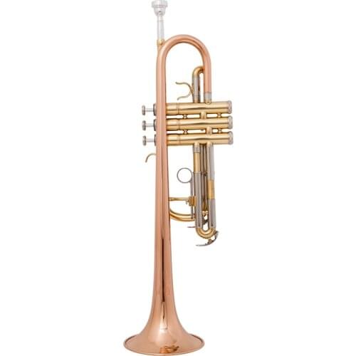 Hot Sell High Quality Brass Tube C tone Small Trumpet Adjustable Double Horn Gold Plated Surface Professional Music Instruments