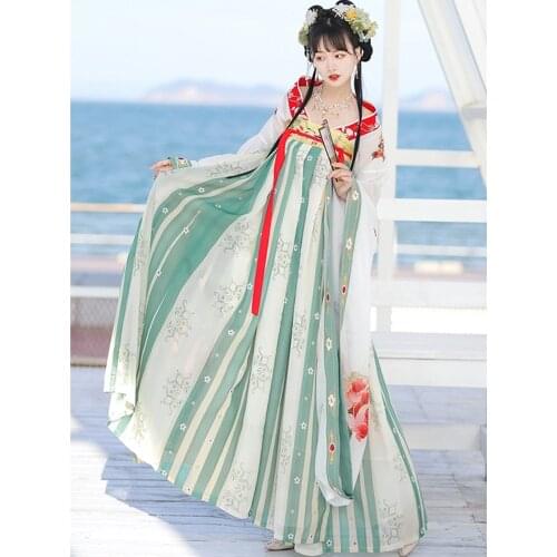 Hanfu Dress For Women Tang Style Embroidered Skirt Big Sleeve Shirt Suit Cosplay