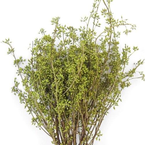 15pcs Wedding decor flowers floral arrangement natural eucalyptus fruit original ecological dried flowers for home