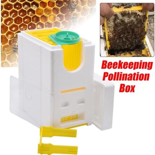 Auto Beekeeping Queen Rearing Box Supplies Beehive Foam Double layer Tool