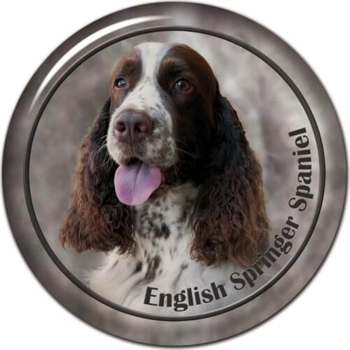 B0855# 13CM/17CM Self-Adhesive Decal English Springer Spaniel Dog V1 Car Sticker Decors on Bumper Rear Window Laptop