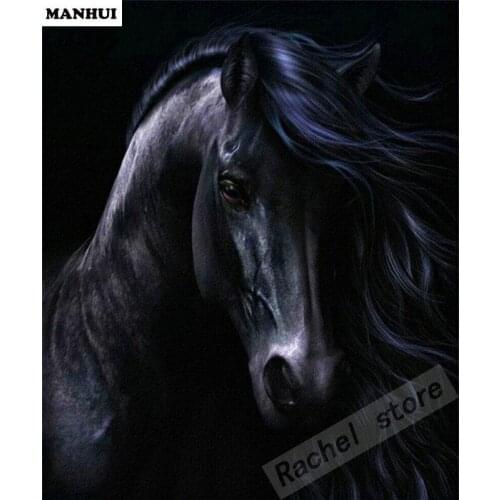 Diamond Embroidery Diy Diamond Painting Cross Stitch Kits Diamond Mosaic Dark horse Full Square Diamond Embroidery AD344