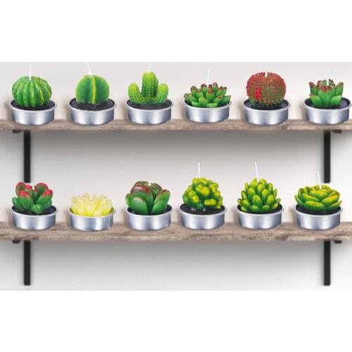 12pcs/set Cactus Candles Rose Flower Tealight Candles Home Decoration Candle Artificial Succulent Plants Candle Valentine Decor