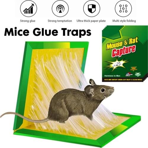 Ловушки для грызунов Meigar China At AliExpress