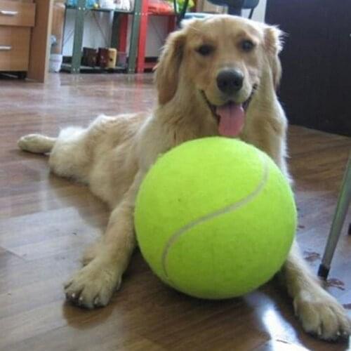 9.5 Inches Dog Tennis Ball Giant Pet Toy Tennis Ball Dog Chew Toy Signature Mega Jumbo Kids Toy Ball For Pet Dogs Supplies