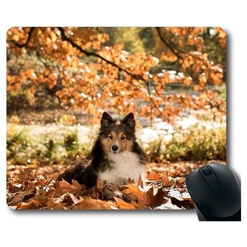 Dogs puppies pets Mouse Pads,Dog Sheltie Autumn Lying Tree,dogs mouse mat