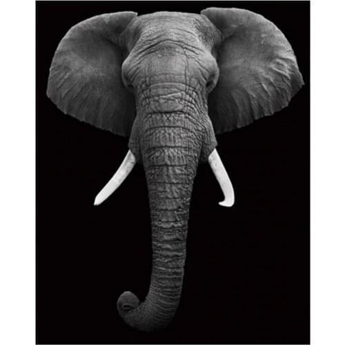 DIY Digital Painting By Numbers Package Black and white elephant Coloring Wall Art Picture Gift frameless