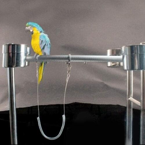 6m Parrot Bird Harness Leash Anti-bite Outdoor Flying Training Rope Pet Supplies for Parakeet Cockatoo Cockatiel Conure