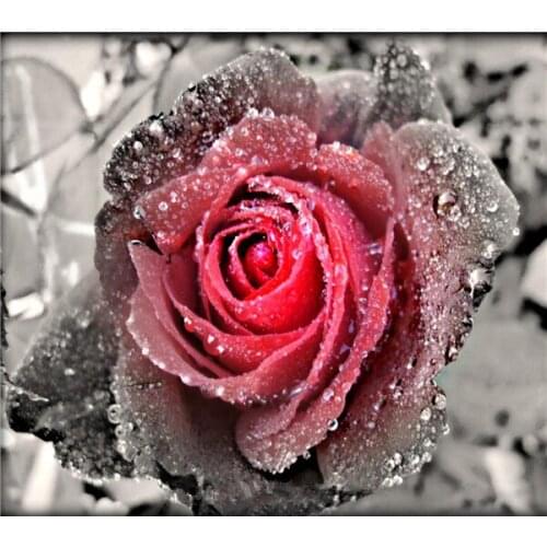 YUMEART New 5D Diy Diamond Painting flower Cross Stitch square diamond Rhinestone Pictures of Crystals Embroidery Patchwork rose