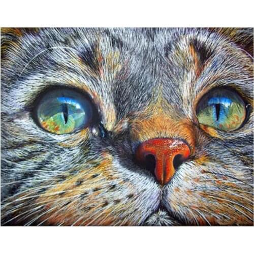 【stock】Cat head DIY diamond painting kits animal dimaond embroidery full drill catdiamond painting mosaic full round drill cat