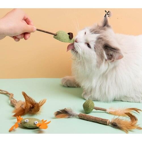 Catnip Cat Toys Cartoons Catnip Ball Safety Healthy Cat Mint Cats Molar Teeth Clean Teeth Game Pet Toy Gift